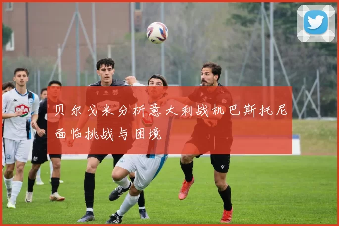 贝尔戈米分析意大利战机巴斯托尼面临挑战与困境